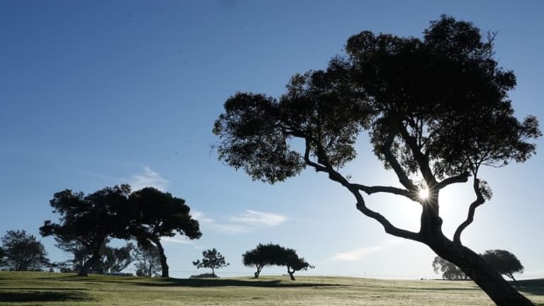 2021 U.S. Open: TV Schedule, How to Watch, Viewers’ Guide